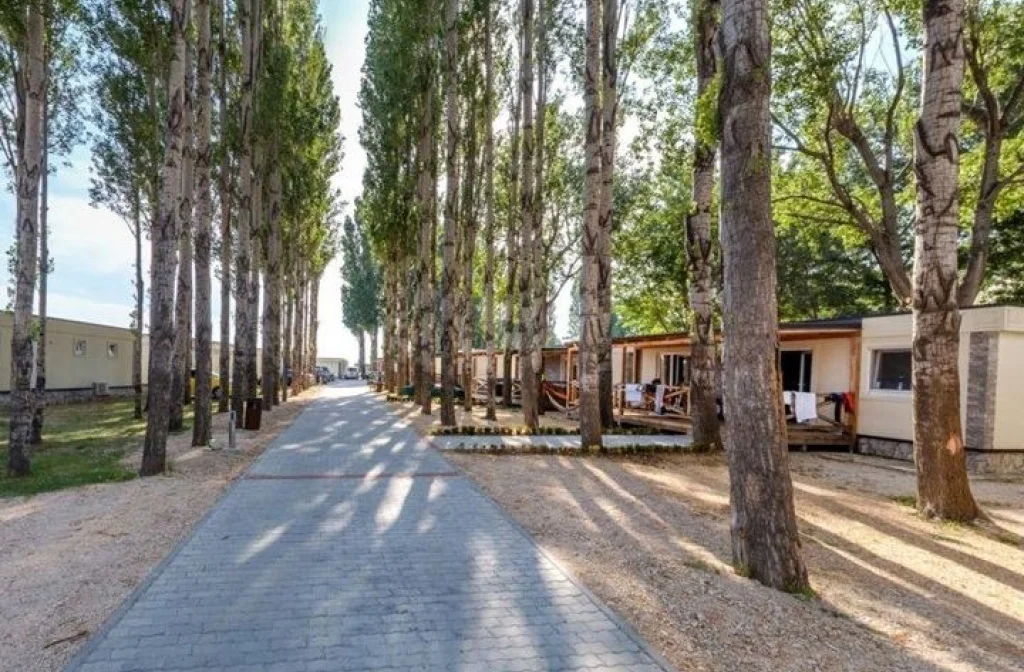 Mobile Homes Camp Galeb Omis Weg Baum